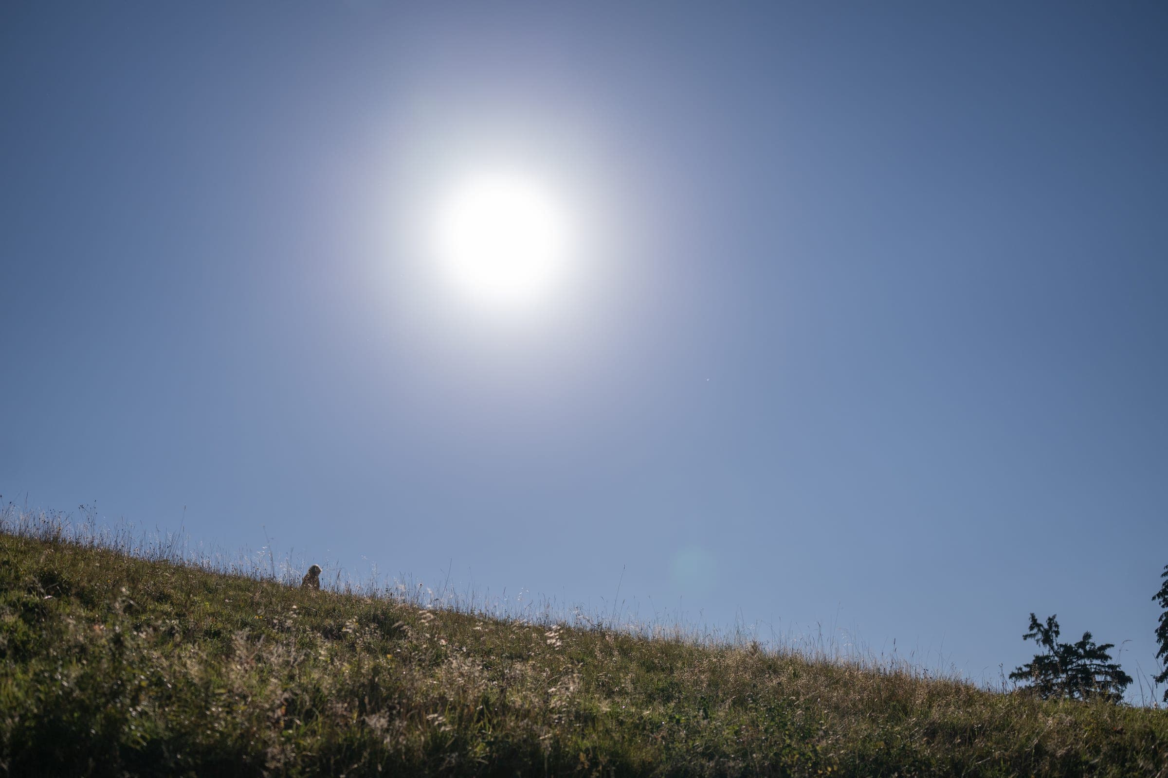 Sonne über dem Grat