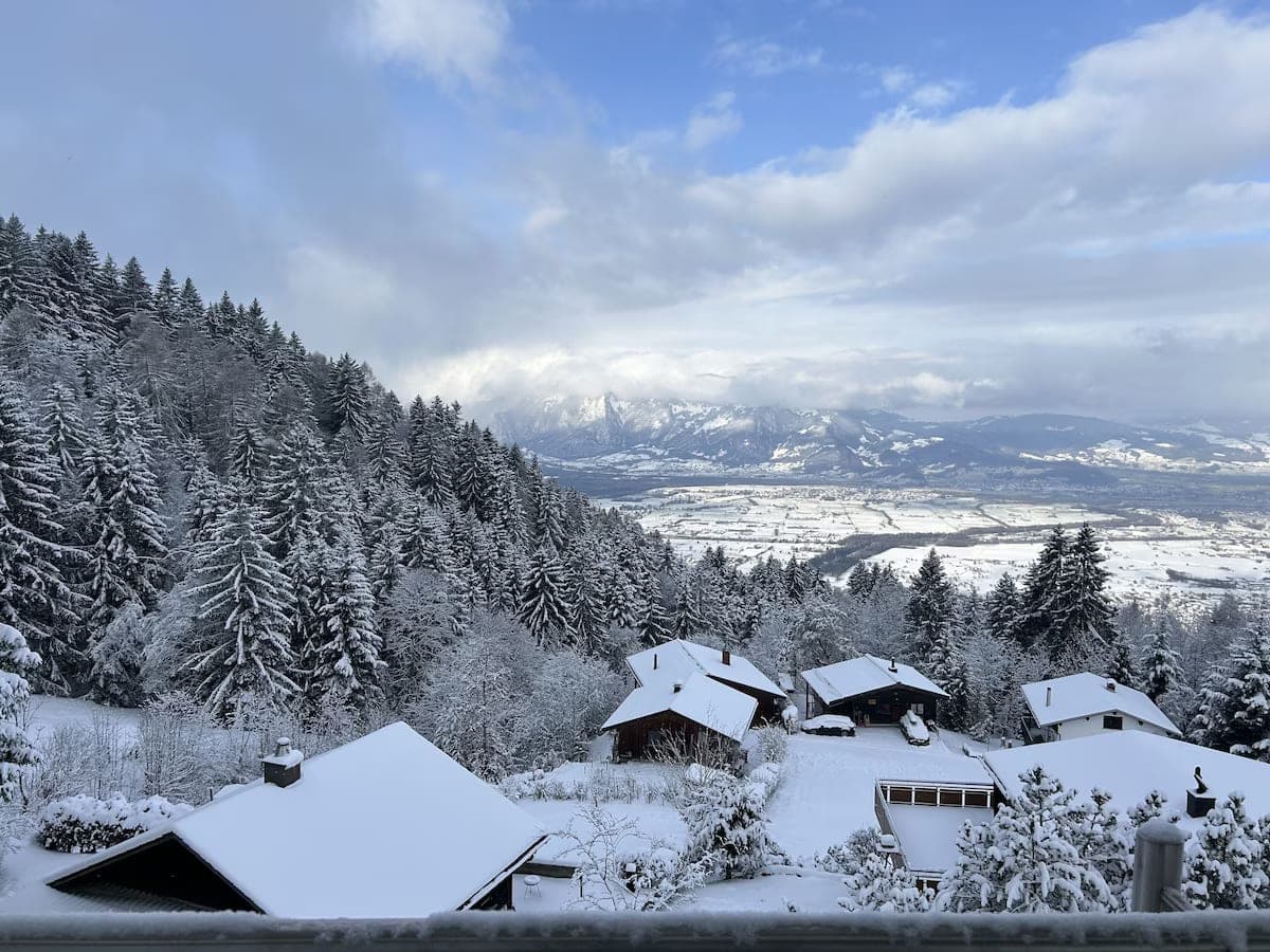 Snow-covered roofs and forest, the Rhine Valley behind
