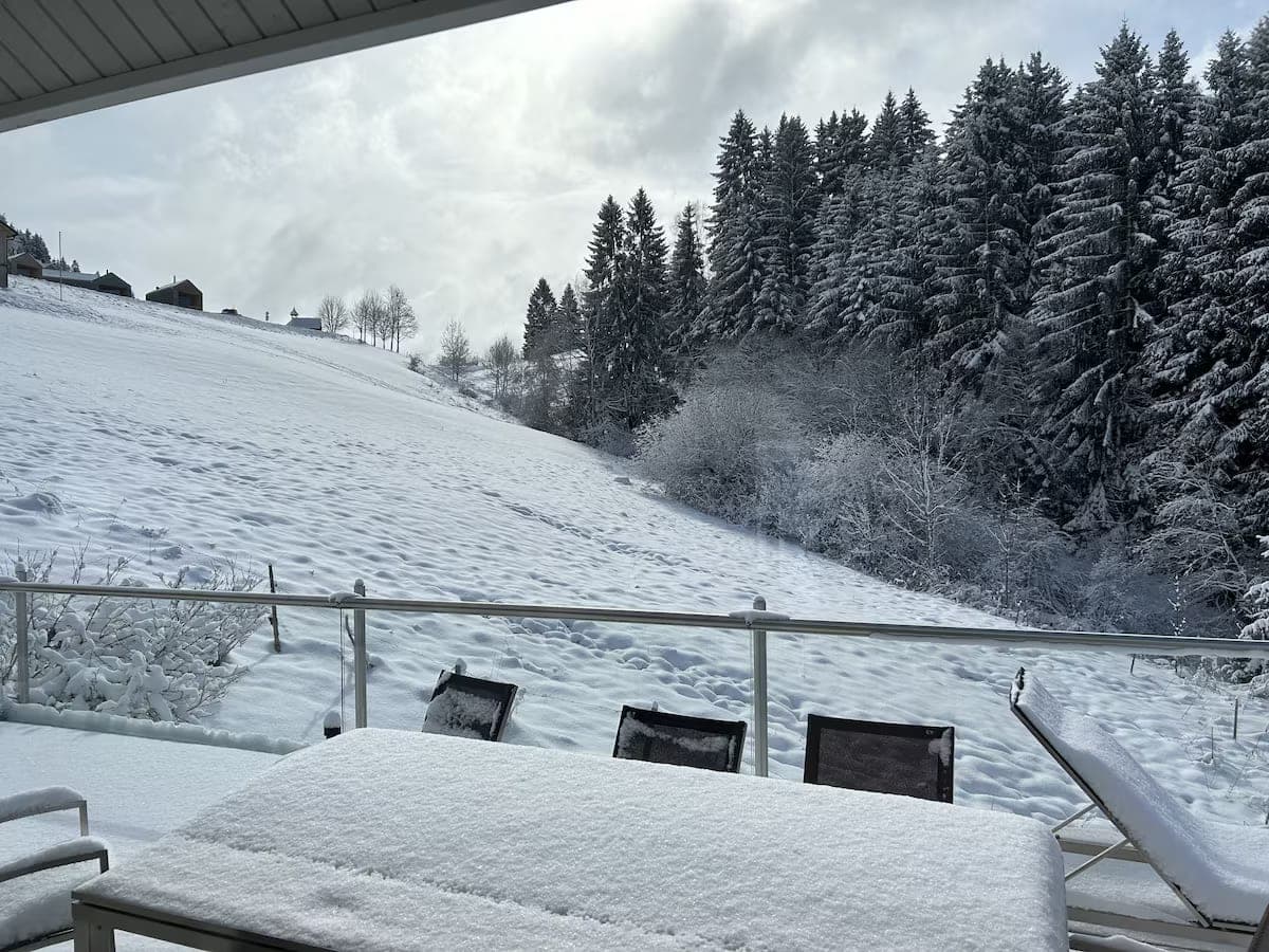 Snow-covered terrace with table and loungers, the forest behind